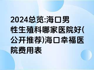 2024总览:海口男性生殖科哪家医院好(公开推荐)海口幸福医院费用表